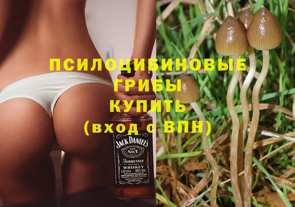 прущий лед Белоозёрский