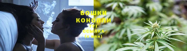 крисы Беломорск