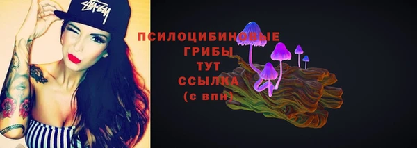 прущий лед Белоозёрский