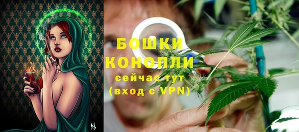 PSILOCYBIN Белокуриха