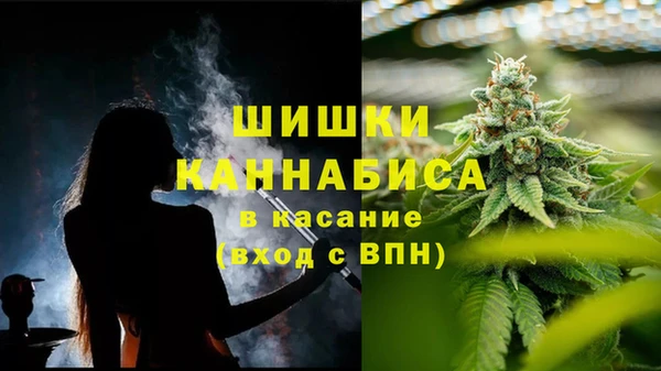 PSILOCYBIN Белокуриха
