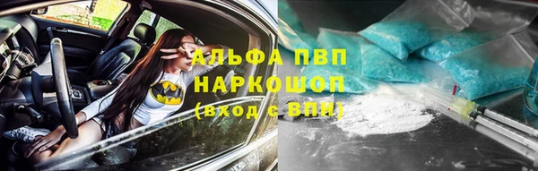 PSILOCYBIN Белокуриха