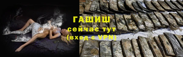 PSILOCYBIN Белокуриха
