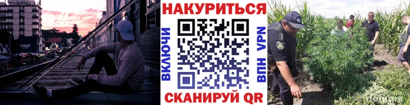 Конопля VHQ  Кузнецк 